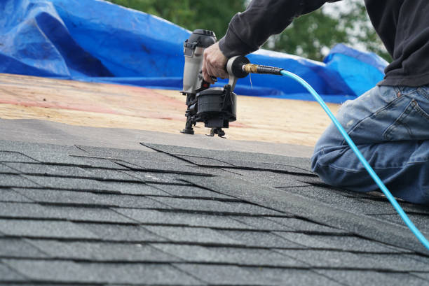 Best Roof Gutter Cleaning  in Denton, TX